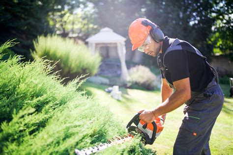 How to Care for Your Lawn During Winter Months in Florida - Skinner Lawns
