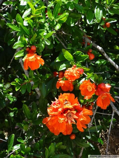 Nature Gozo - Best Photos And Videos Of The Nature Of Gozo.