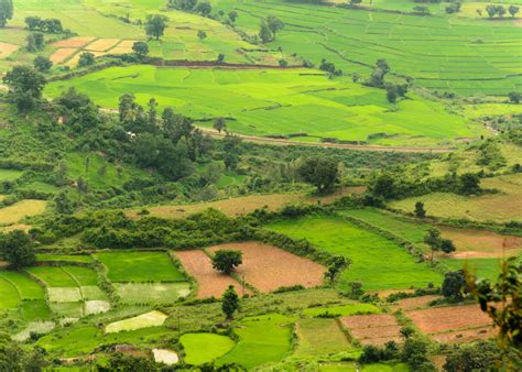 Lambasingi, the Kashmir of Andhra turns chilly, enjoys tourist ...