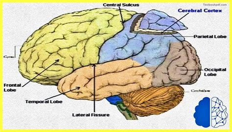 Image result for Cortex-R Vector Table