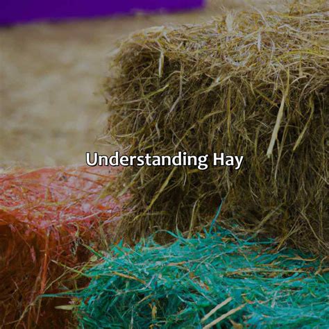What Color Is Hay - colorscombo.com