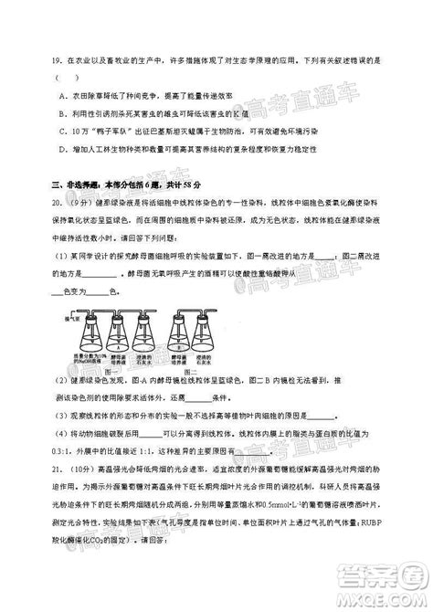 2020年部编版江苏省南通市海安市小升初考试语文试卷（word版 含答案）-21世纪教育网