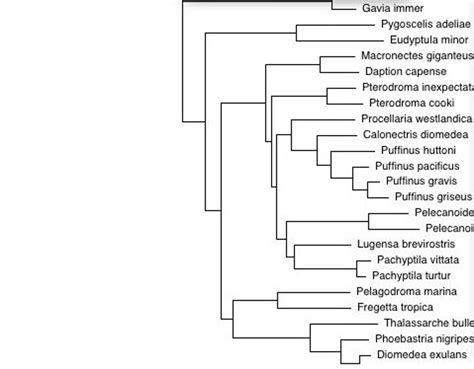 Image result for wxPython TreeView