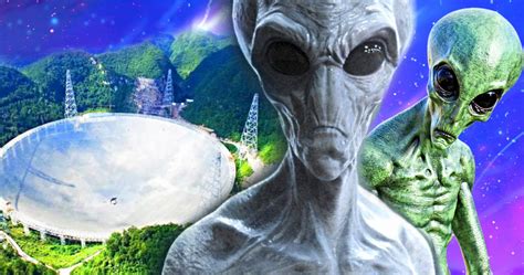 In Search Of... Aliens 的图像结果