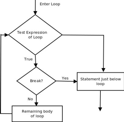 Image result for Java Break in If Statement