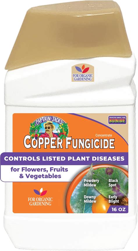Amazon Garden Safe Fungicide at Marjorie Hiller blog