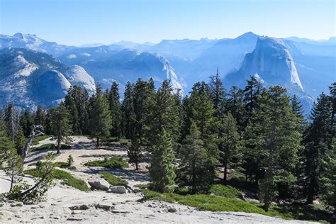 Image result for Sentinel Dome Tree