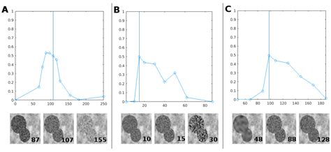 Transfer Learning from Synthetic Data Applied to Soil–Root Segmentation ...