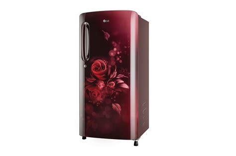 185L 3-Star Single Door Refrigerator - GL-B201ASED | LG India