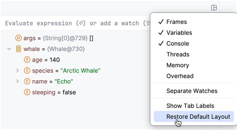 Debug Tool 的图像结果