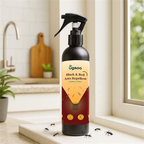 Buy An Effective Ant Killer Spray: Eliminate Ants with Ease – Ugaoo