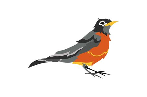Connecticut State Bird - American Robin SVG Cut file by Creative ...