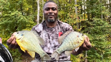 Image result for Shellcracker Baits