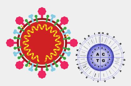 PATINNOVATE CONSULTING