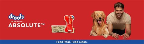 Buy Drools Absolute Dog Supplement Treats 600g, 40 Pieces Jar | Calcium ...