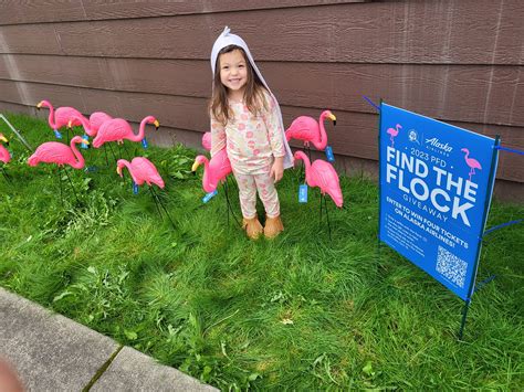 Find the Flock Giveaway - MSI Communications