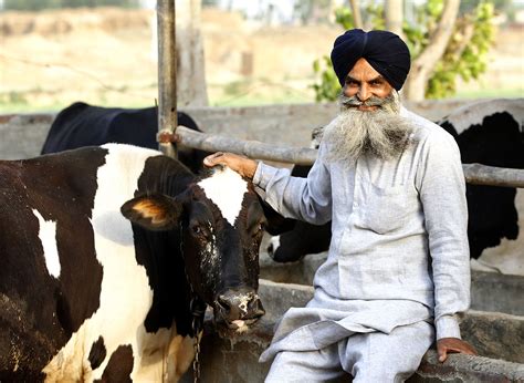 Making an Impact With The Nestle Farmer Connect Program | Nestlé IN