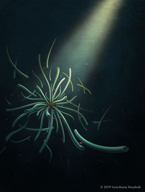 Nature Journal Cover 的图像结果