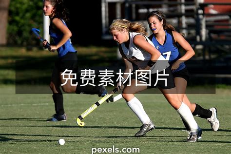 Hockey 的图像结果