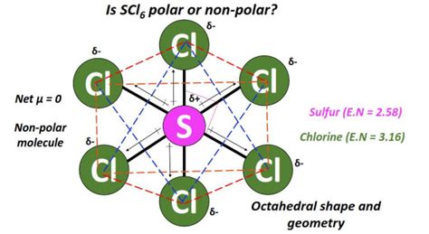Image result for Example of Nonpolar Molecule