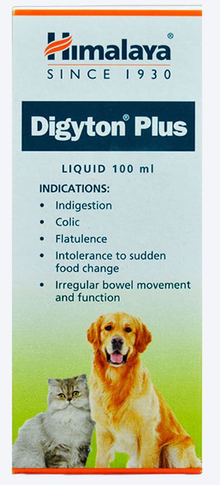 Himalaya Digyton Plus Syrup – ShakeHands