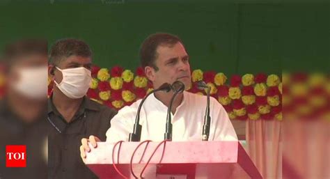 Can't compete with PM in speaking lies: Rahul Gandhi | Bihar Assembly ...