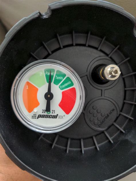 Image result for Pascal OP X Review