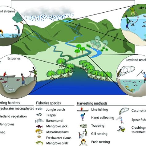 Image result for Catch Fish Methods