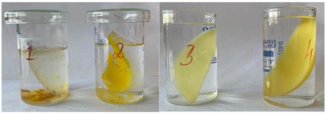 Development of a Biodegradable Patch Based on Polysaccharides