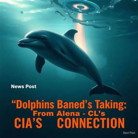 Image result for Alien Dolphins