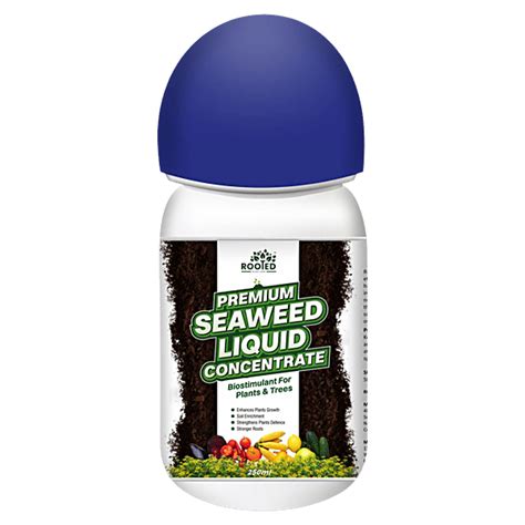Buy Rooted Premium Seaweed Liquid Concentrate Online at Best Price of ...