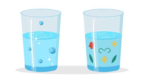 Spring water vs purified water: which is better for your health | Credihealth