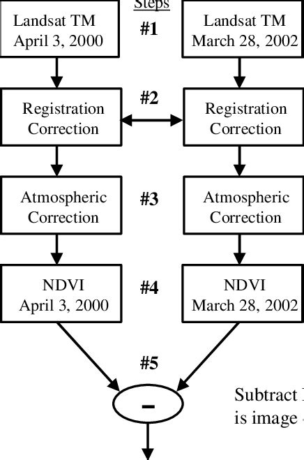 Image result for Processing Org Chart