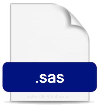 Image result for Open SAS File