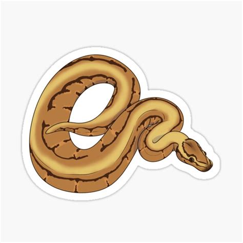 Image result for Red Bubble Ball Python Sticker