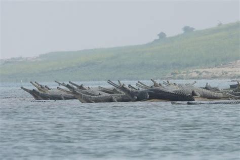 Bah Photos - Featured Images of Bah, Agra District - Tripadvisor