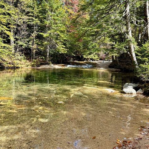 SHAMROCK GROVE (Thornton) - Hotel Reviews & Photos - Tripadvisor