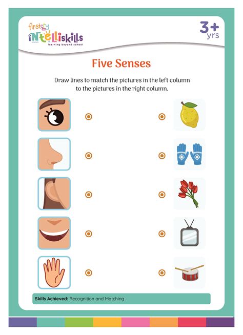 Worksheet On Five Senses