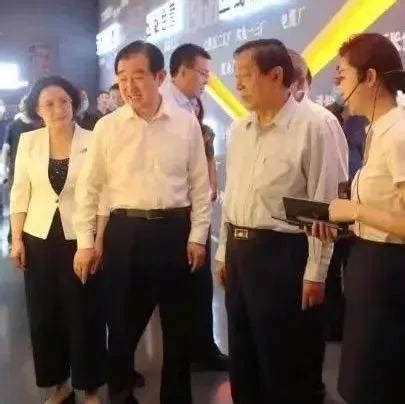 齐续春被查