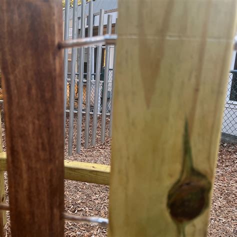 The Falls Church Episcopal Day School (@thedayschooltfce) • Instagram ...