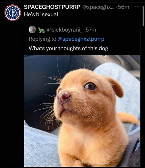 Funny Dog Pictures | Dog Mom