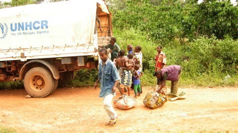 “We walked two days in the jungle to cross the border”: An Ivorian ...