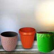 Metro Garden - Home |Top Wholesale nursery garden in kerala - Metro Garden