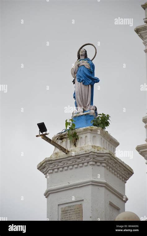 Image result for Immaculate Conception Mary Statue
