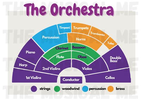 Orchestra Layout at Keira Woolley blog