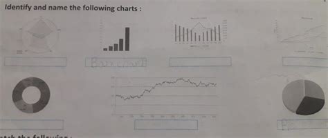idenitfy and name the following charts - Brainly.in