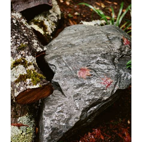 Emma Elizabeth Tillman (@emmaelizabethtillman) • Instagram photos and ...