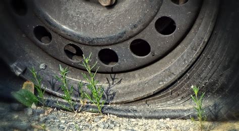 ¿Sabes qué hacer cuando se pincha un neumático?