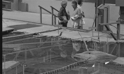 Image result for SF Bay Modeling