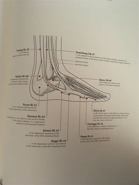 Image result for Toe Lateral View